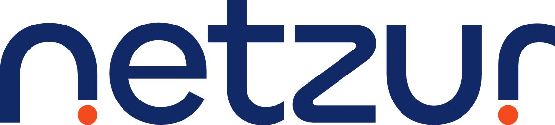 Netzur Logo